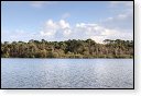 Oisterwijkse Bossen en Vennen Kampina natuurgebied natuur oisterwijk Nationaal park Landschap Het Groene Woud hei heide bossen natuurmonumenten brabant baronie boswachterij dorst